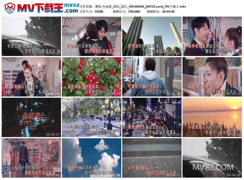 期待-冬雨夜_国语_流行_MEA00930